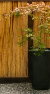 28 Zen Japanese Garden Ideas UK (Modern & Budget-Friendly)