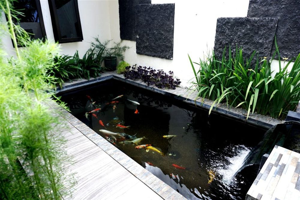 20. Japanese Garden Design Ideas for Small Gardens