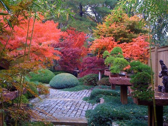 24. Japanese Zen Garden