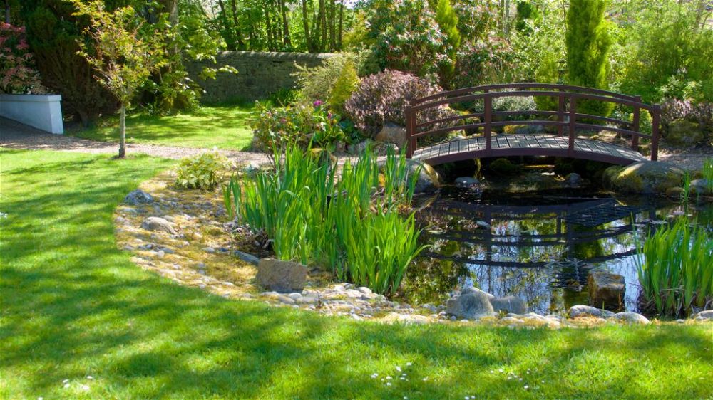 26. Large Garden Pond