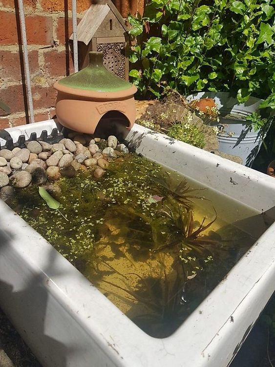 28. Small Garden Wildlife Pond