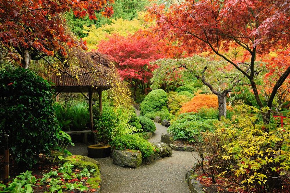 5. Japanese Garden Design