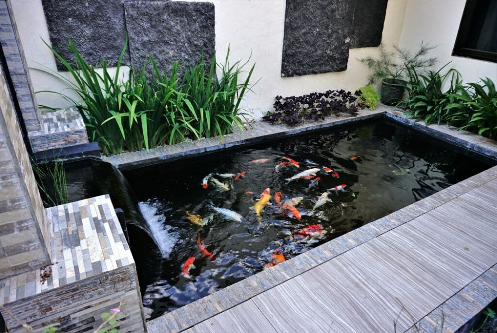 7. Garden Fish Pond