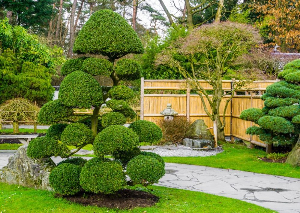 7. Japanese Garden Planting