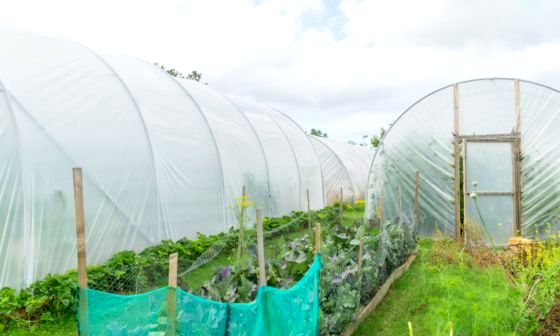 best-heavy-duty-plastic-sheeting