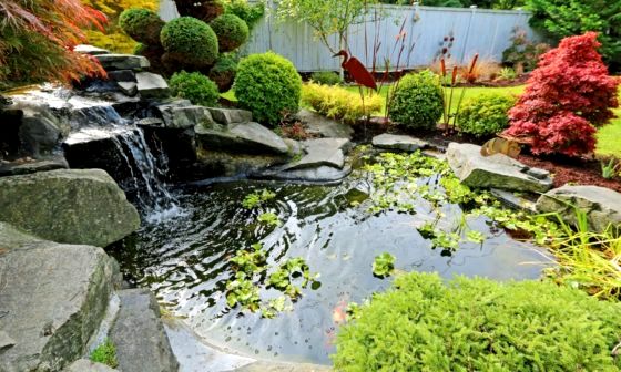 garden-pond-ideas