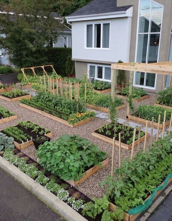 13. Vegetable Garden Landscaping