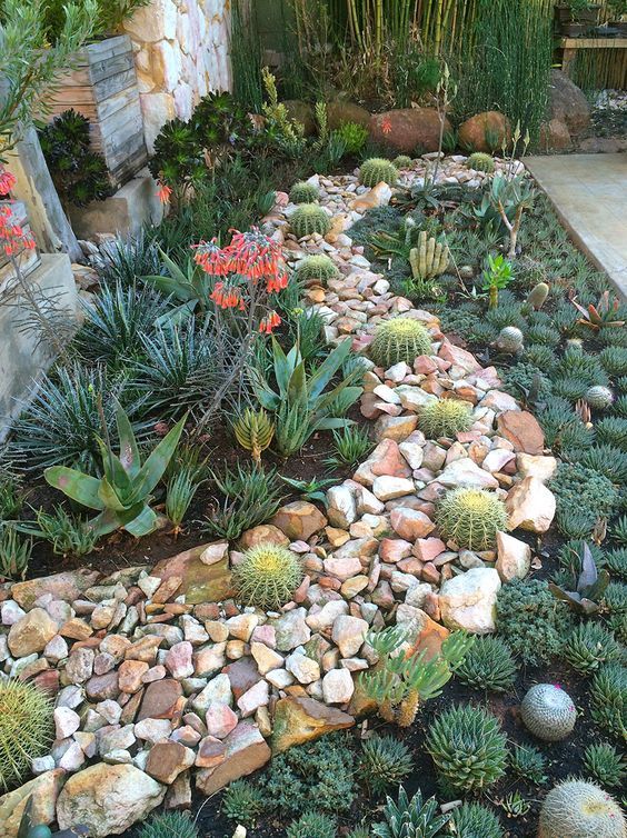 14. Cactus Garden Landscaping