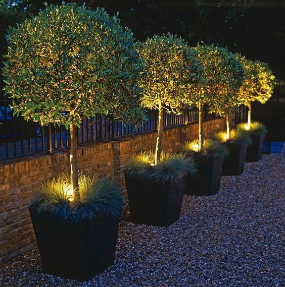 24. Back Garden Lighting