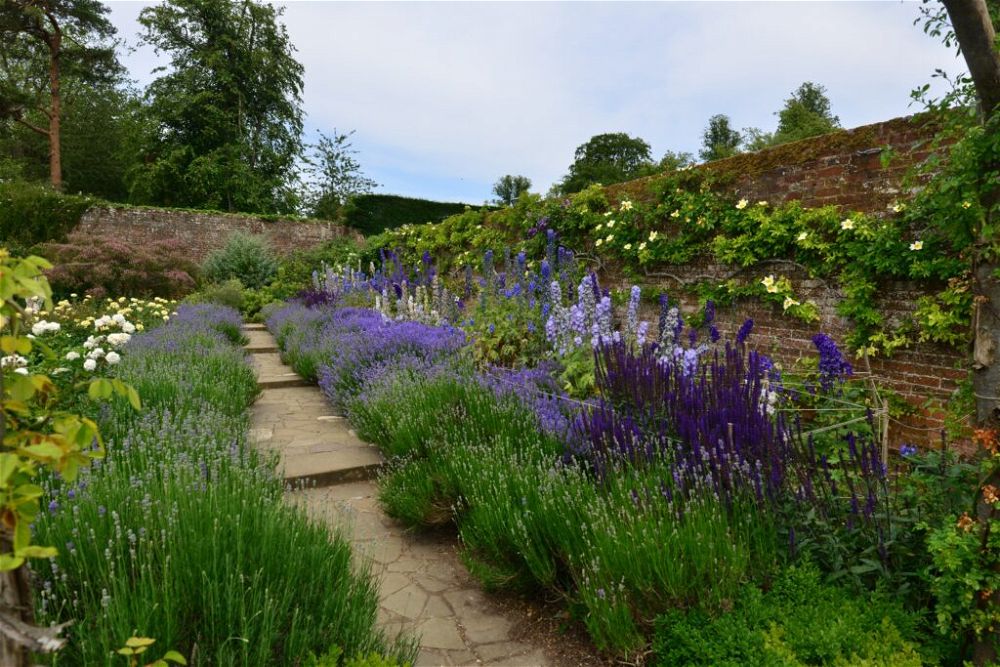 29. Country Flower Garden Border