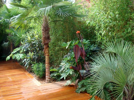 37. Tropical Garden Landscaping