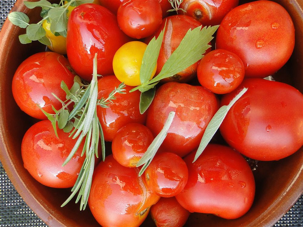 Tomatoes in bowl