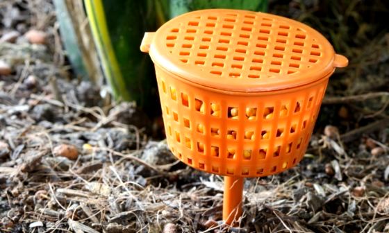 best-slow-release-fertilizer