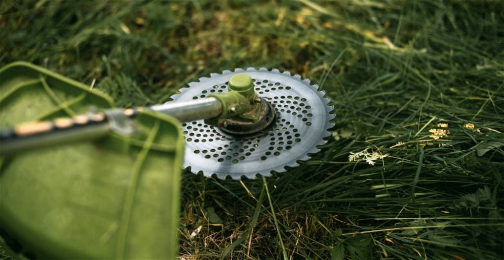 5 Best Tree Loppers For Your Garden (2022 Review UK)