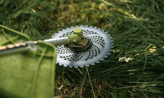 best-strimmer-blade