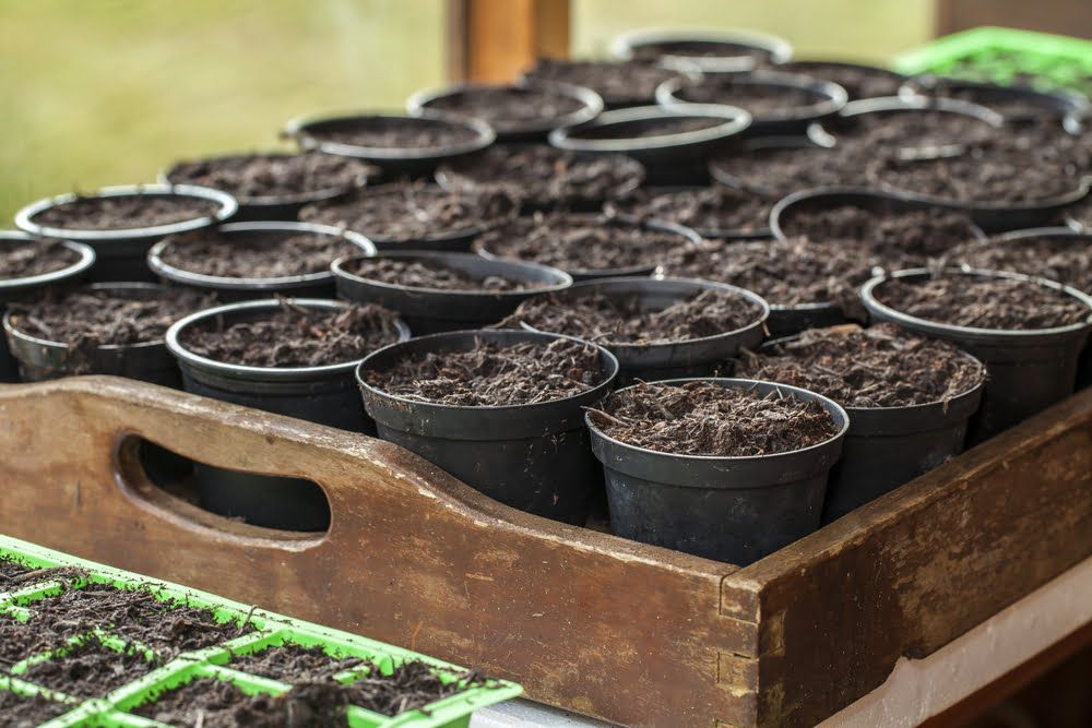 Small pots for seeds