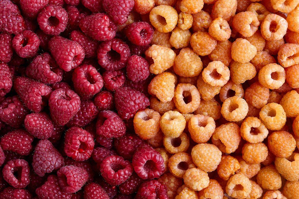Red and golden raspberries
