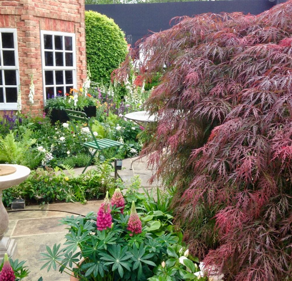 Show garden 2 - Chelsea Flower Show