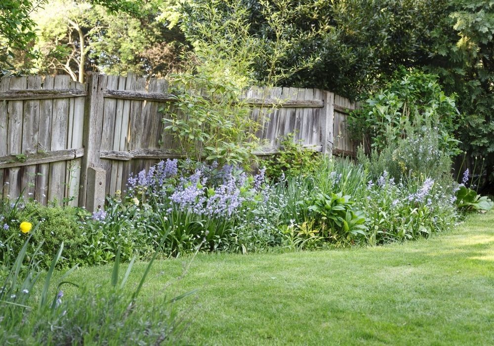 old-wooden-boundary-fence