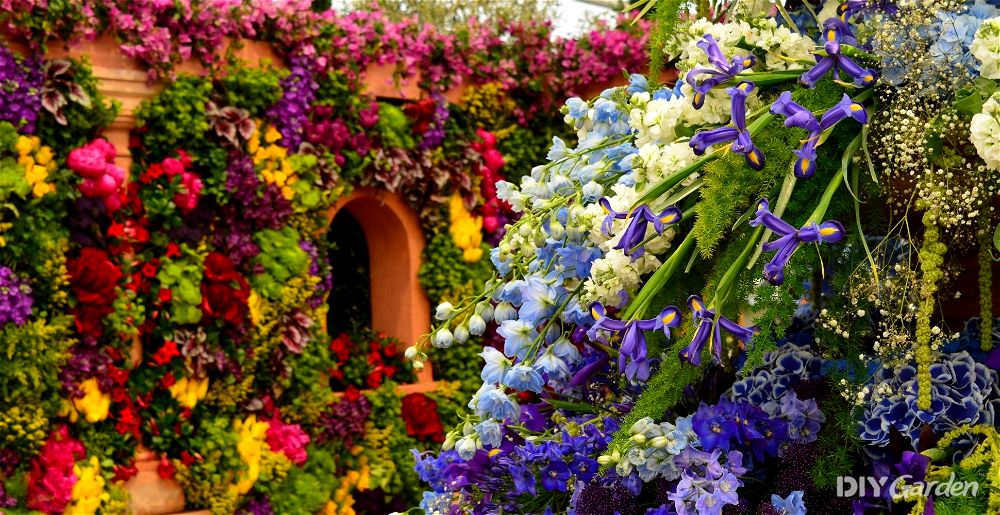 show garden chelsea flower show