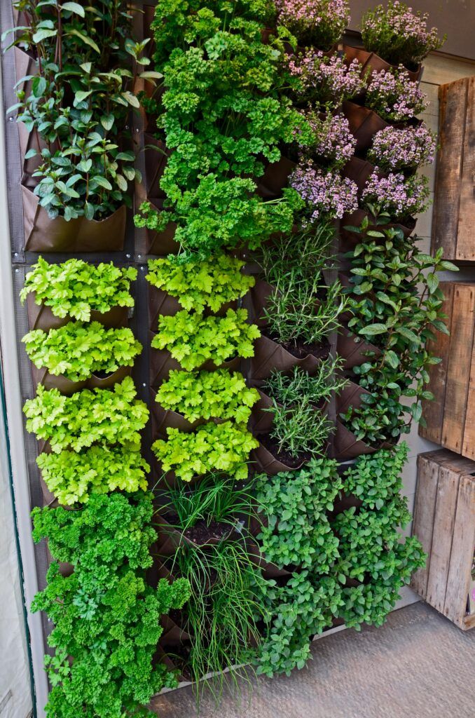 vertical-herb-garden