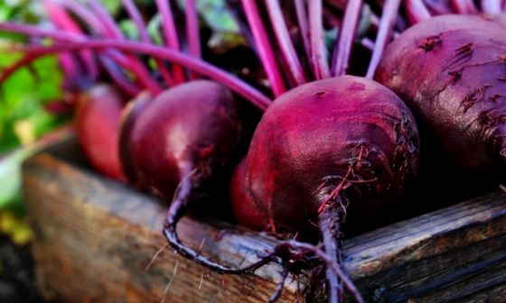 Harvested beetroot in box
