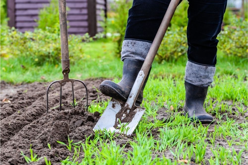 creating-an-open-garden-school-growing-project