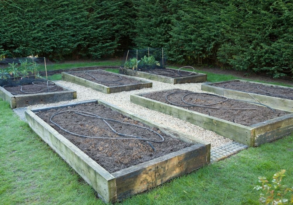 empty-raised-beds-garden