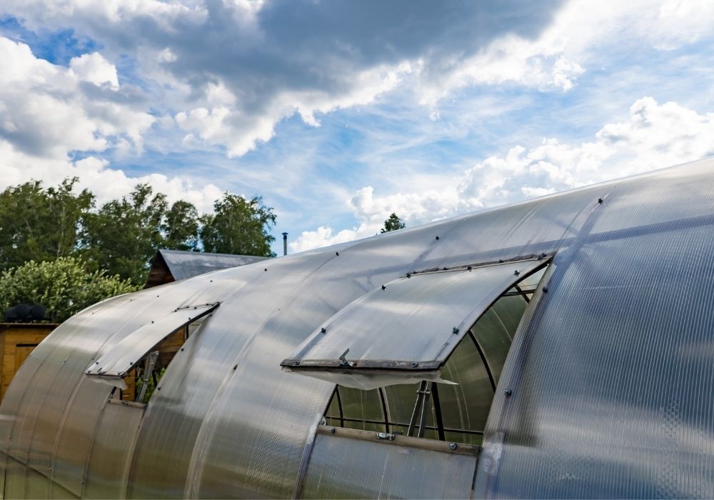 greenhouse-ventilation-automatic-windows