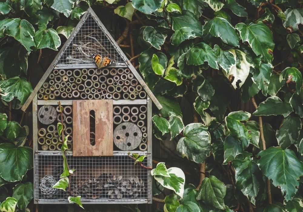 insect-hotel-school-garden