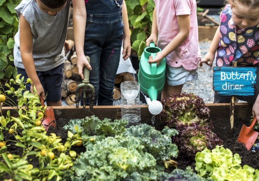 kids-school-garden