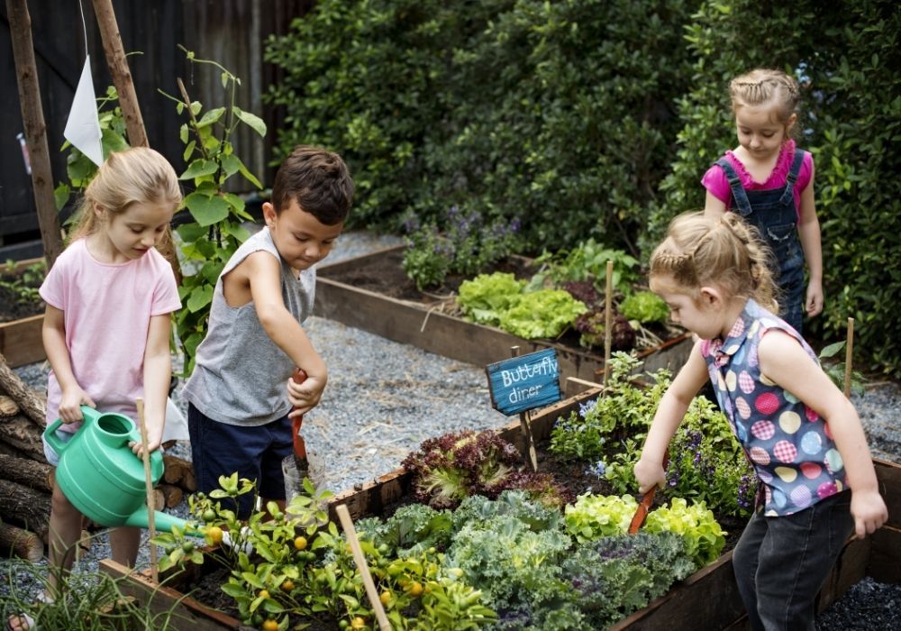 school-garden-growing-project