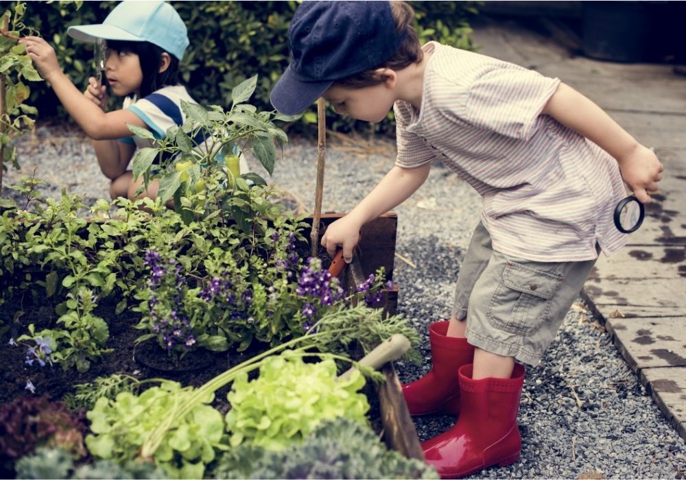 school-garden-learning-science