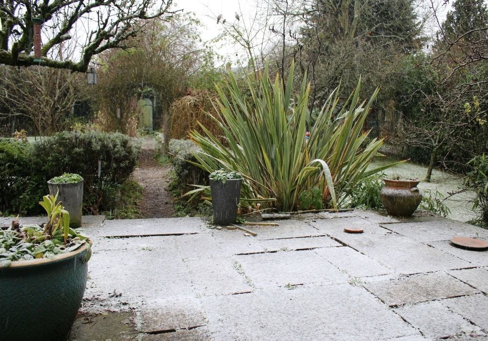 snow-scene-in-an-english-garden-from-a-stone-patio