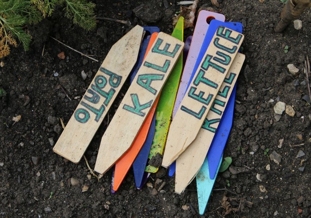 vegetable-herb-markers-garden