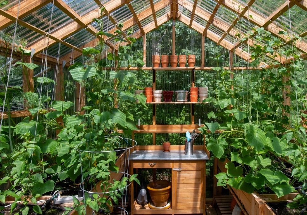 wooden-greenhouse-interior