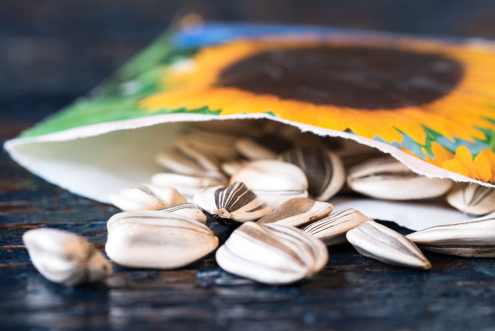 Sunflower seeds in packet