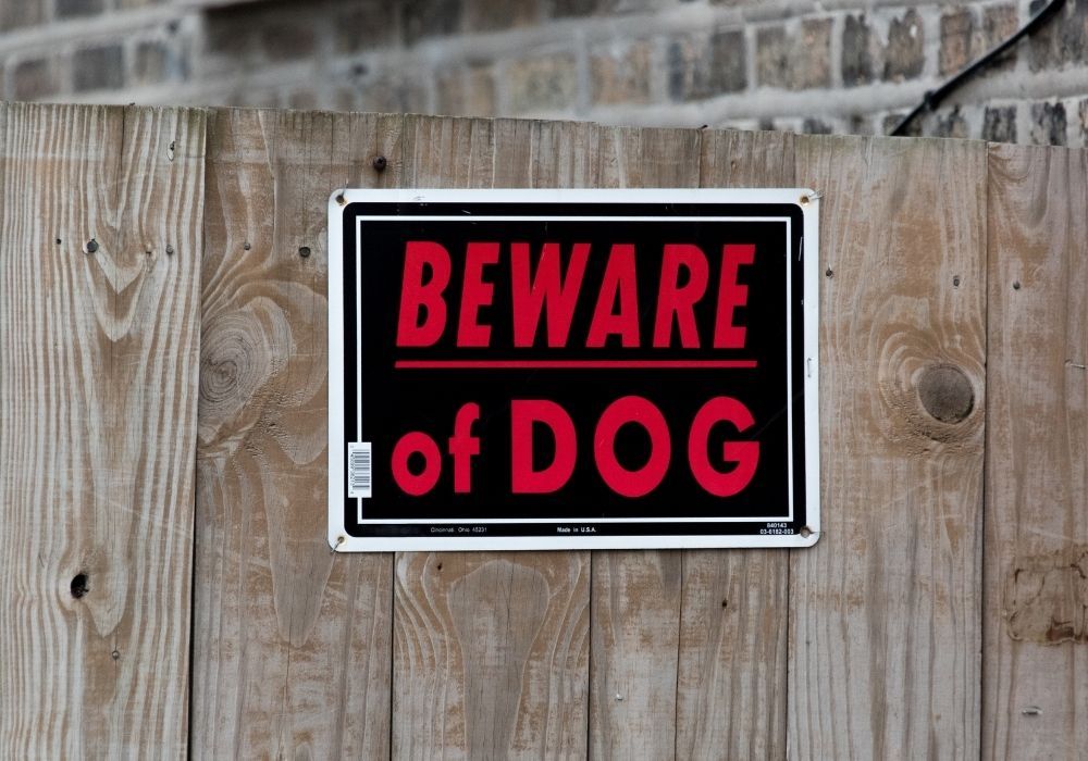 beware-of-dog-sign-garden