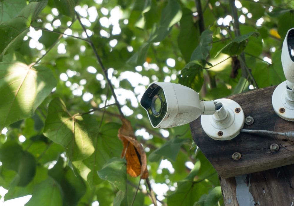 burglar-proof-garden-cctv