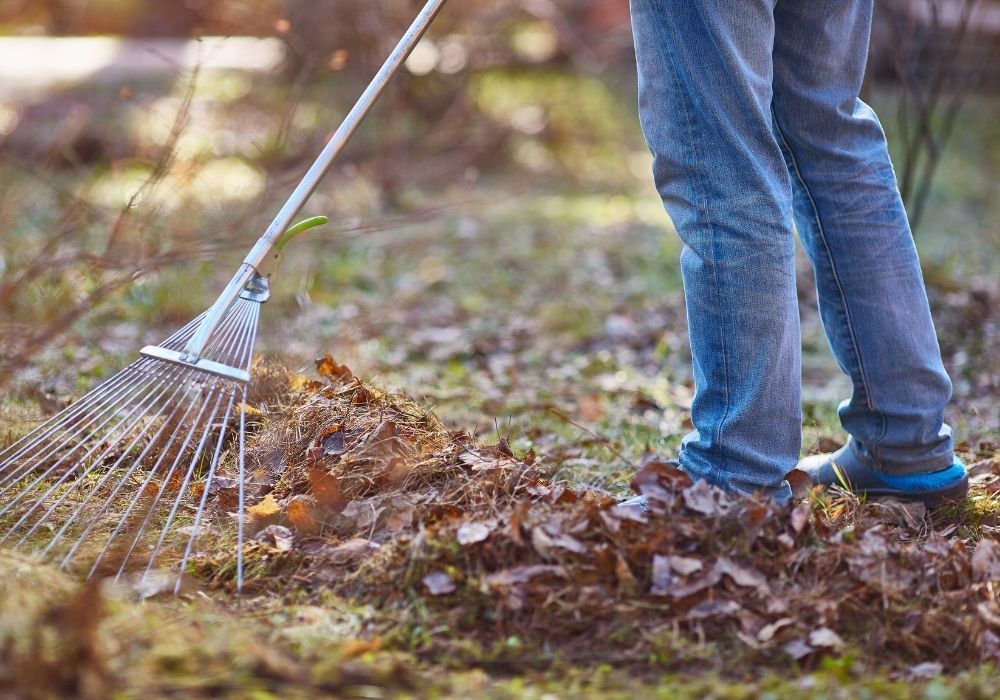 garden-spring-cleaning-raking-leaves