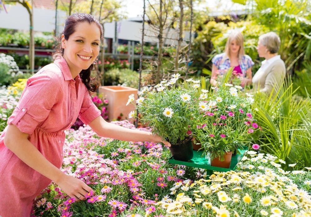 spring-garden-centre