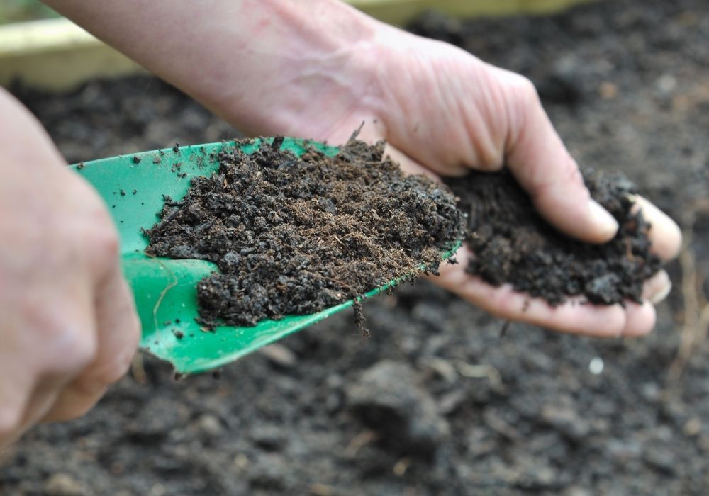 spring-garden-compost