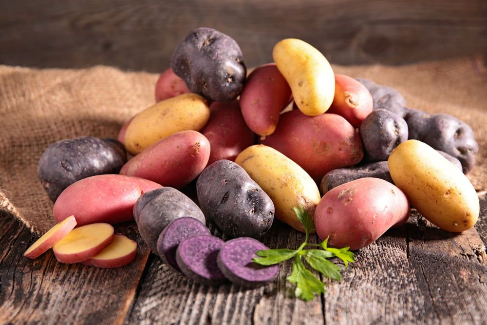 Potato varieties