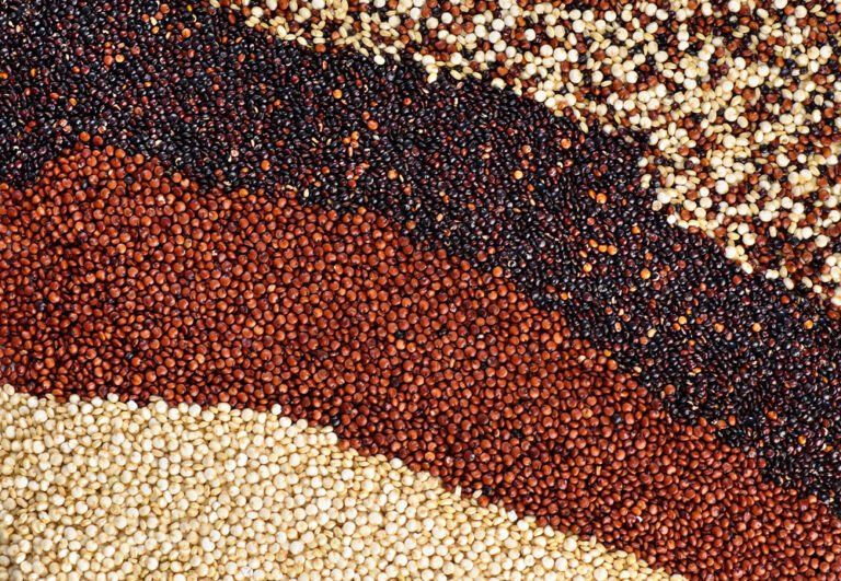 How to Grow Quinoa From Seed at Home (2023 Harvest Guide)