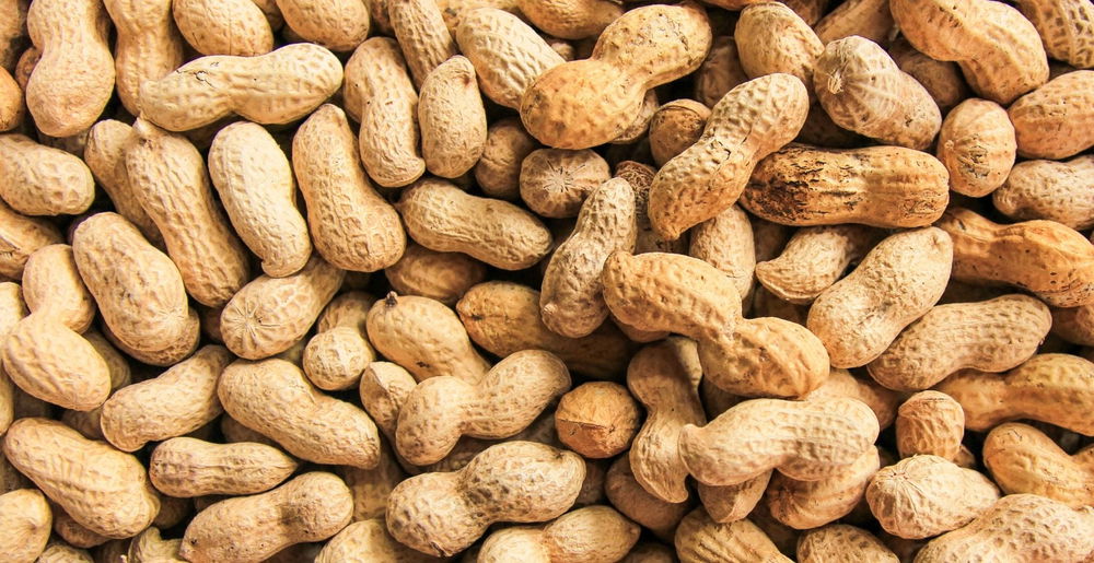 How To Grow Peanuts From Seed At Home 2023 Harvest Guide 