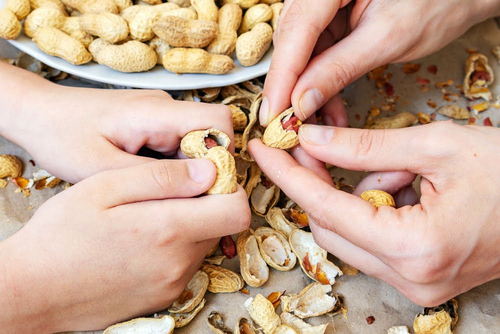 Hands shelling peanuts