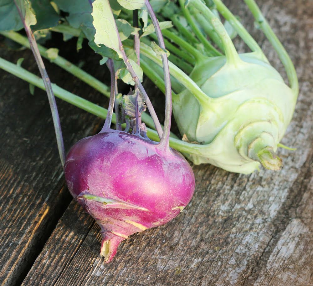 Kohlrabi bulbs