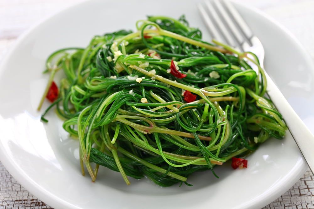 Cooked agretti on plate