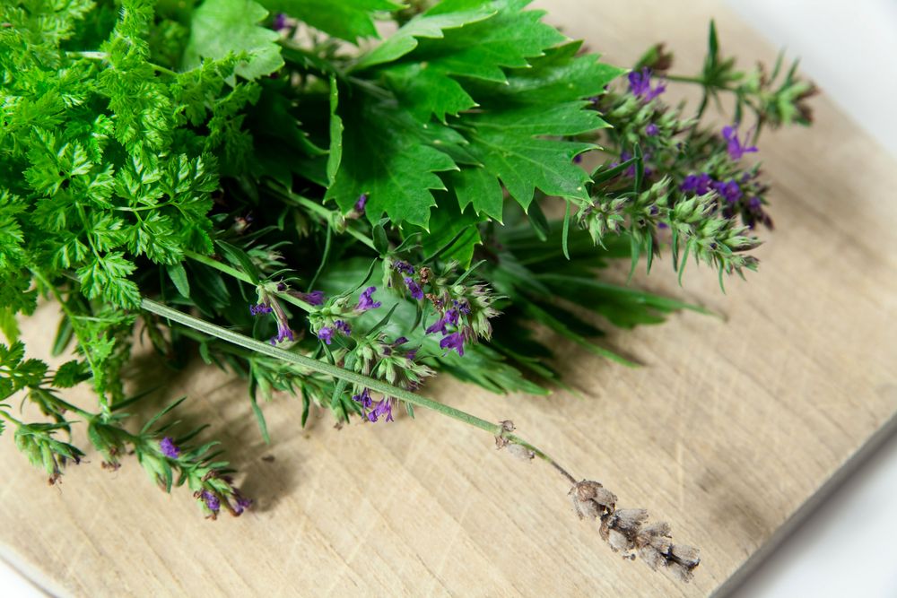 Chervil and other herbs on chopping board