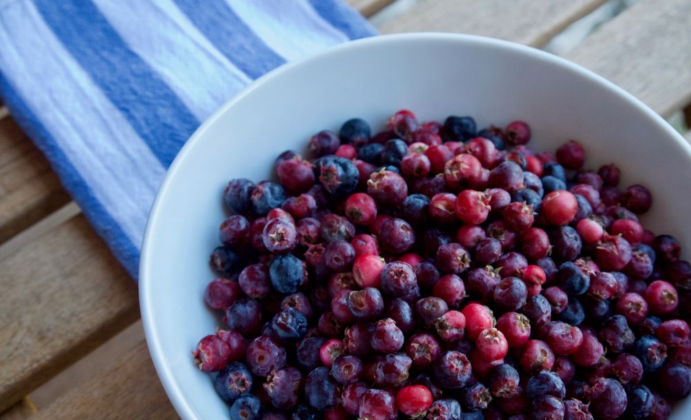 Juneberries in bowl